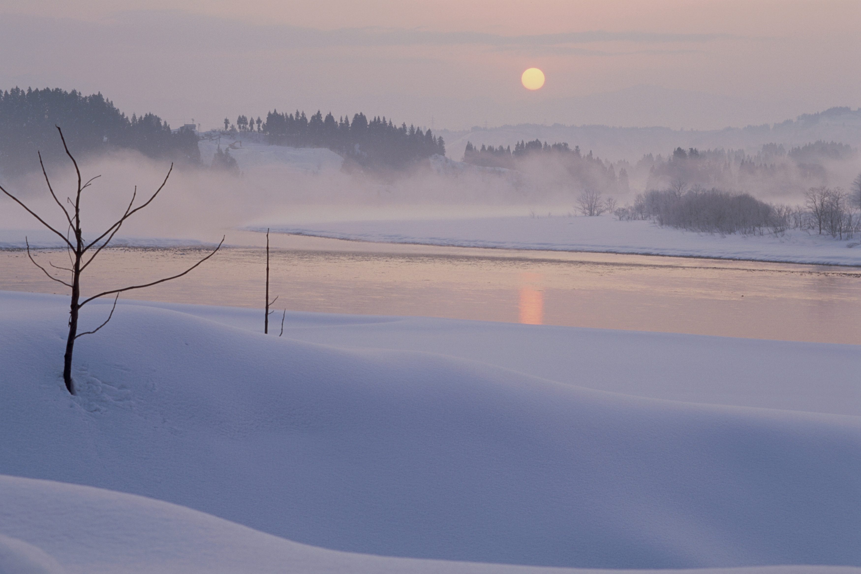 雪国もやしッコ 合同酒精 いも焼酎 すごいも 1.8L 20% 甲乙混和焼酎 1800ml