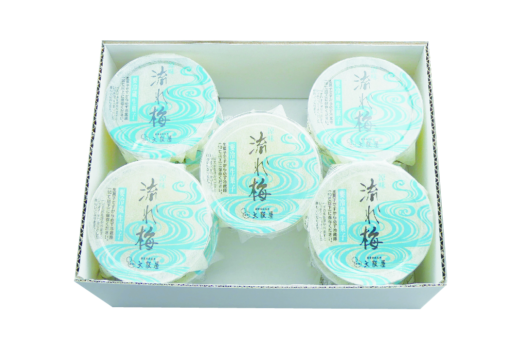 【流れ梅10入送料込】